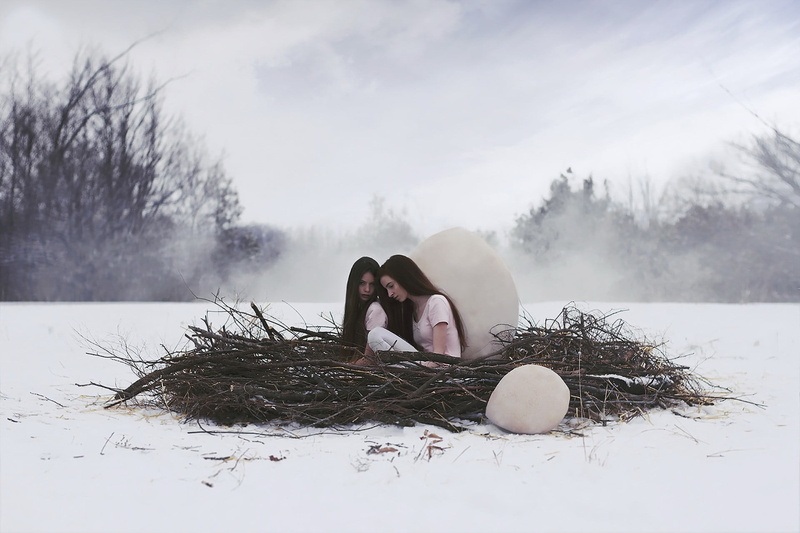 land, adult, day, nests, leisure activity, plant, model, women outdoors, real people, nature, winter, snow, cold temperature, women, eggs, field, sky, tranquility