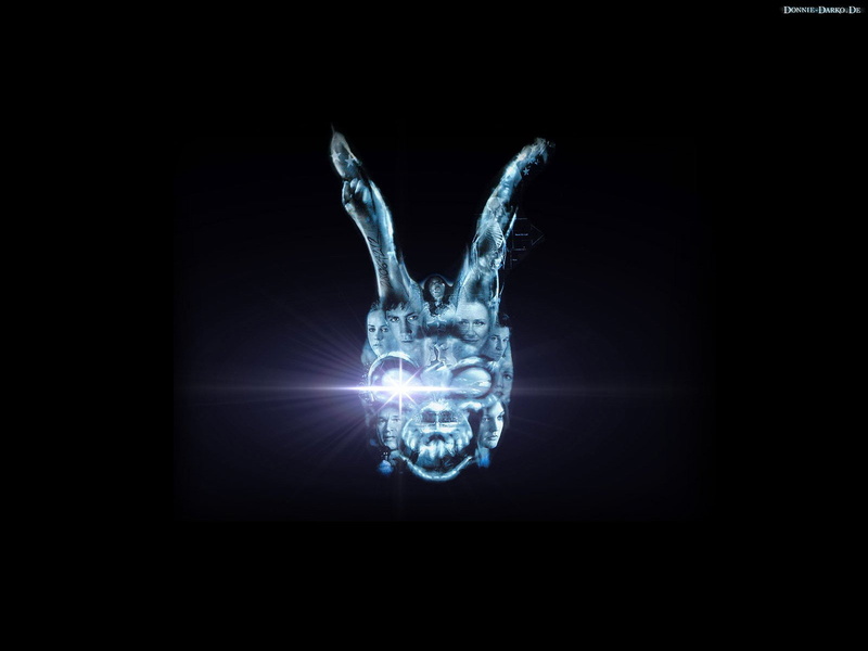 illuminated, x-ray image, 720P, lighting equipment, 1darko, human limb, body part, Darko, fi, transparent, positive emotion, indoors, studio shot, people