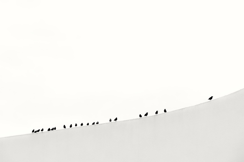 day, minimalism, copy space, animals in the wild, animals, black, sky, group of people, beaded, birds, silhouette, bird, vertebrate, winter, animal themes