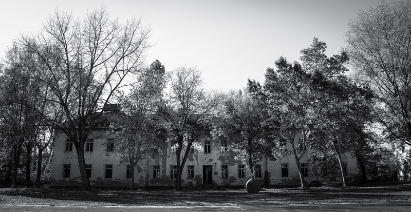 tree, tranquility, built structure, building exterior, building, growth, halloween, creepy, bare tree, stalker, trunk, straw, military, architecture, apocalypse