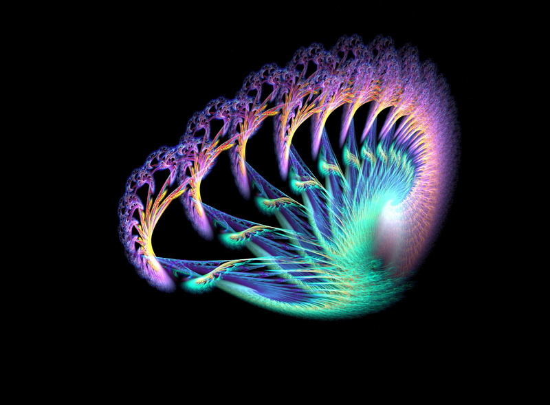 animal, shape, geometric Shape, design, floral, black Background, animal themes, motion, three Dimensional, helix, close-up, 2K, communication, digitally Generated Image