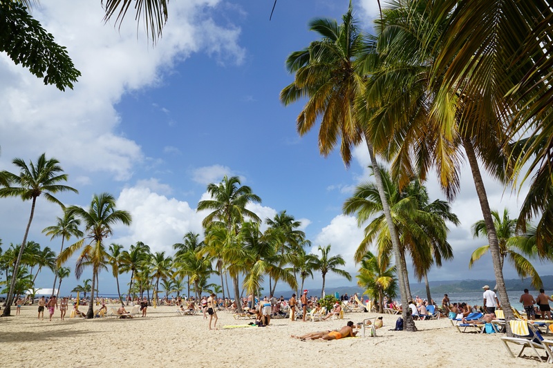plant, water, sky, palm tree, tree, island, sea, group of people, real people, holiday, caribbean, tropical climate, beach, 5K, outdoors, crowd, bacardi island