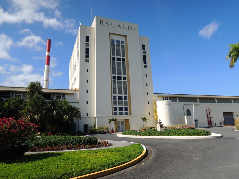 flower, plant, building exterior, nature, puerto rico, day, growth, bacardi, hedge, sky, flowering plant, concrete, sunlight, outdoors, blue, cloud - sky