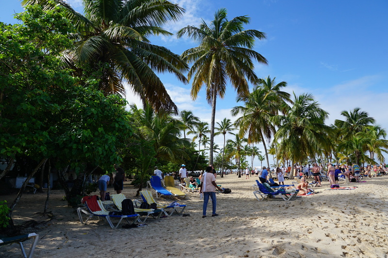 vacations, holiday, group of people, palm tree, crowd, beach, large group of people, sand, nature, plant, levantado, land, outdoors, tree, chair, trip