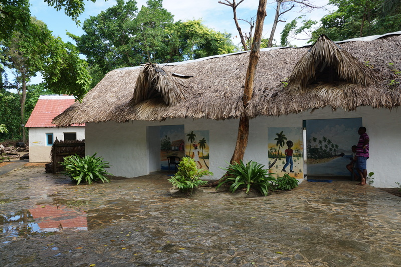 land, building, plant, village, residential district, built structure, house, thatched roof, beach, bacardi island, roof, tree, sky, architecture, hut