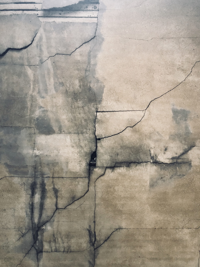 broken, built structure, distressed, wall - building feature, wall, day, damaged, weathered, plant, rough, old, cracked, nature, close-up, backgrounds
