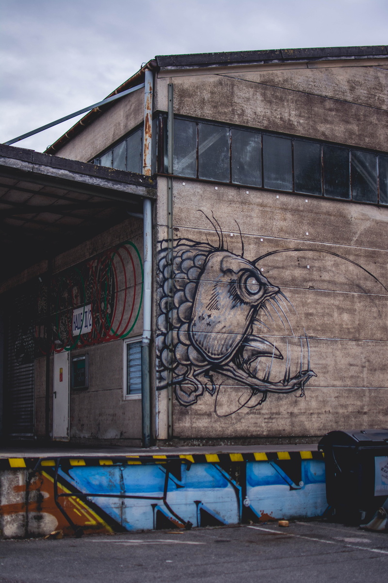 brown, mural, abandoned, photography, art, graffiti, architecture, monster, street art, color, creativity, transportation system, city, outdoors, building