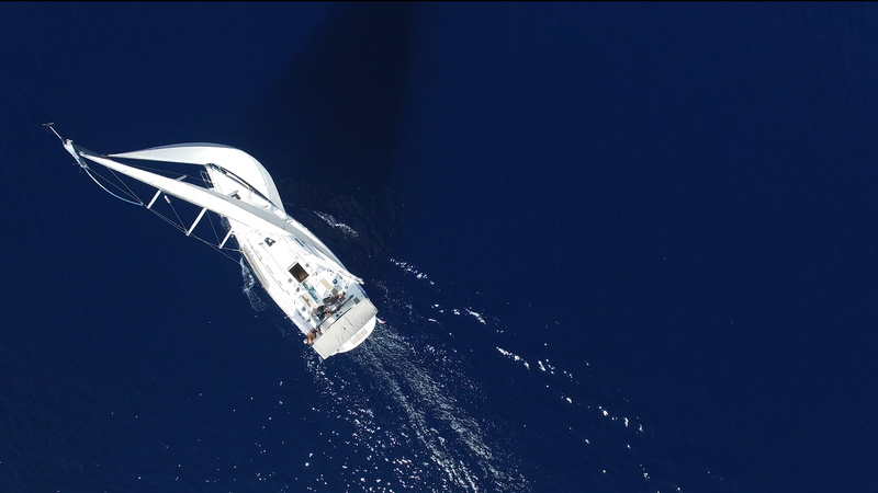 flying, sea life, sea, white, no people, 4K, one animal, sinking, boat, underwater, animal wildlife, copy space, body, holidays, sailboats, undersea, travel