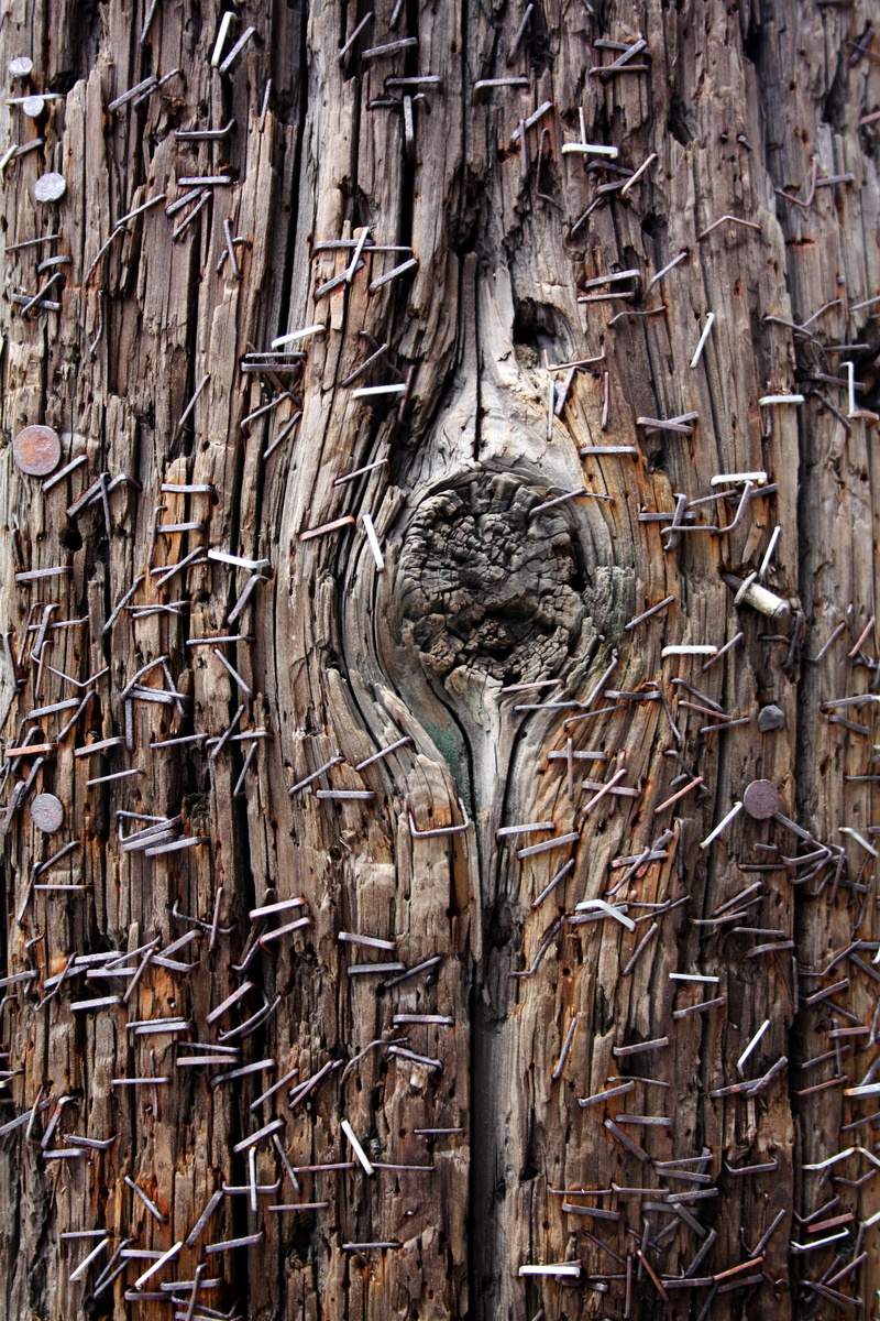 staples, carving - craft product, art and craft, the past, outdoors, pattern, architecture, wood, sculpture, city, tree, texture, tack, old, tortured, history
