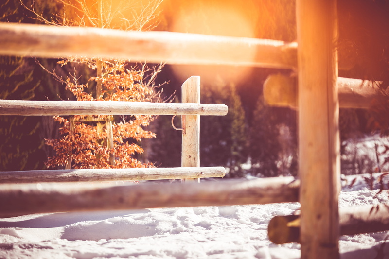 no people, tree, cold temperature, close-up, wood - material, snowy, cold, hiking, rail, sunlight, heat - Temperature, walking, wood, focus on foreground