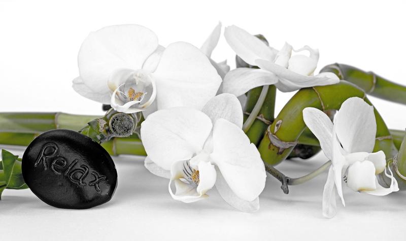 balance, recovery, decoration, luxury, luck, flowering plant, nature, white color, green, event, shallow, asia, celebration, relaxation, stalk, leaf, frisch
