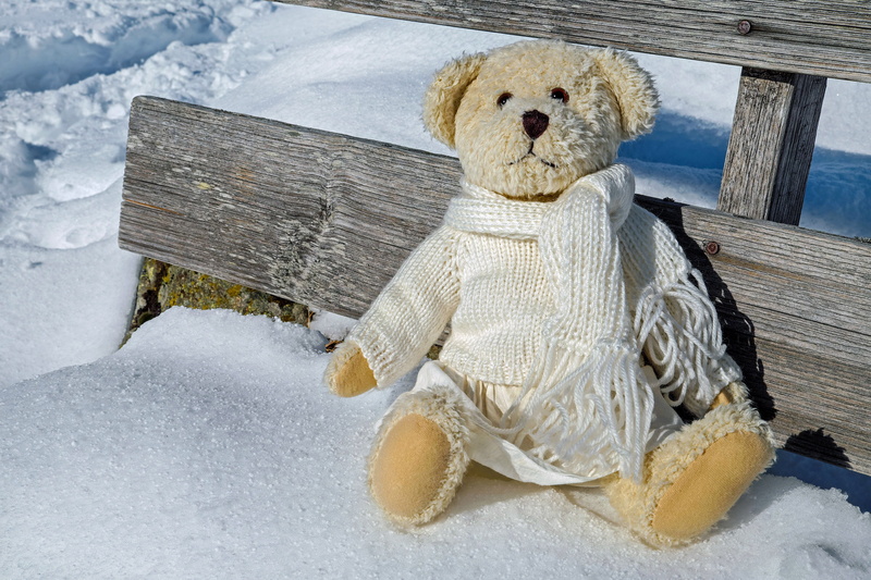 bears, close-up, no people, outdoors, teddy, verschneiter, human representation, toy, abandoned, extreme weather, daytime, sun, 4K, covered, childhood