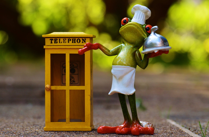 art and craft, male likeness, humor, 4K, no people, selective, human representation, miniature, robot, pizzaexpress, toy, waiter, eat, frogs, fruit, telephone