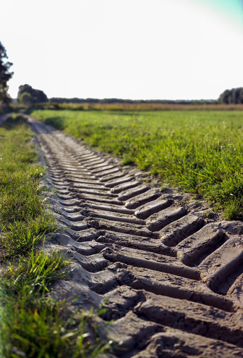 environment, crop, in a row, soil, day, car, wheel, vehicle, transportation, auto, no people, grass, nature, track, gravel, tranquility, 2K, green color