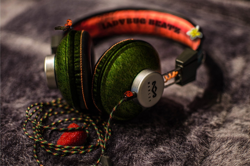 studio shot, no people, technology, day, selective focus, orange, Headphones, carpet, corded, table, Music, Earphones, photo, 1080P, strawberry, ladybug