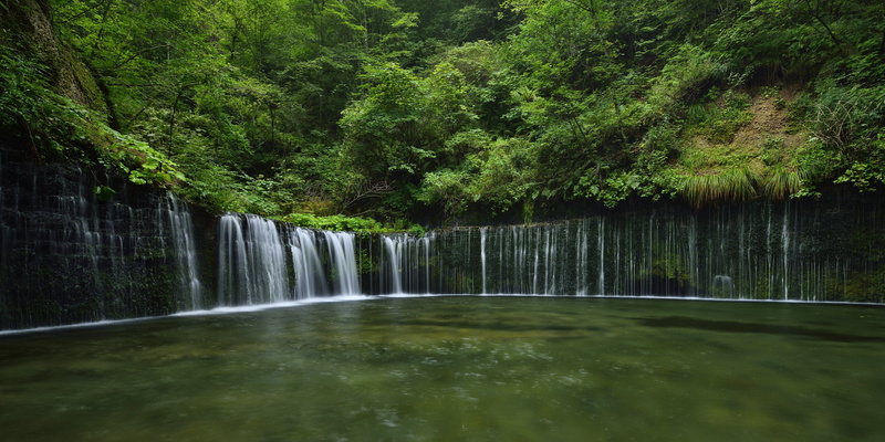 motion, power in nature, foliage, (White Thread), green color, flowing, land, the Shiraito falls, rainforest, lake, falling water, no people, forest, Nagano