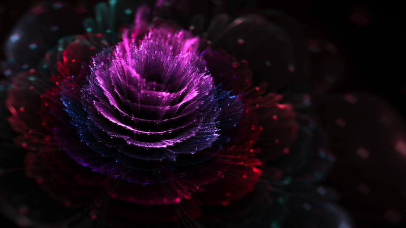 CGI, 1080P, fractal, fractal flowers, flowers