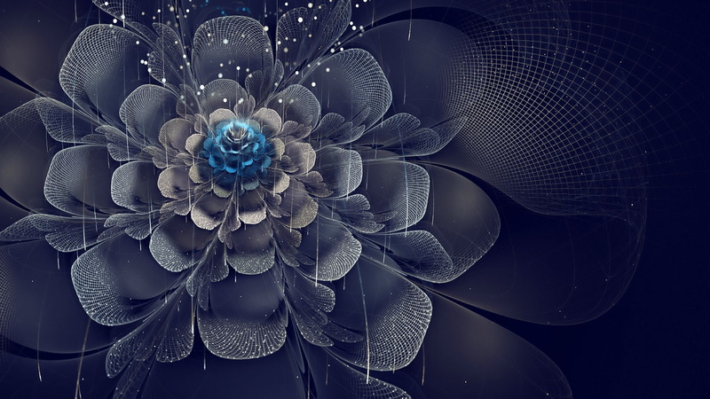 fractal flowers, celebration, blue, flowering plant, flower, digital composite, studio shot, shape, metal, pattern, indoors, elegance, backgrounds, floral pattern
