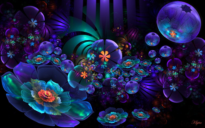 illustration, shape, dark, marine, floating on water, abstract, sea life, no people, light, multi Colored, flower, swimming, design, animal themes, curve