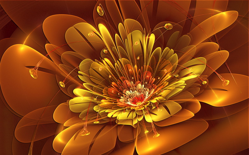 fractal, 1080P, illustration, flower, hd, abstract, orange, yellow