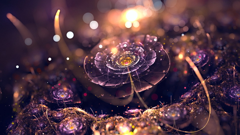 abstract, fractal, 1080P, depth of field, digital art, bokeh, purple, lights, fractal flowers