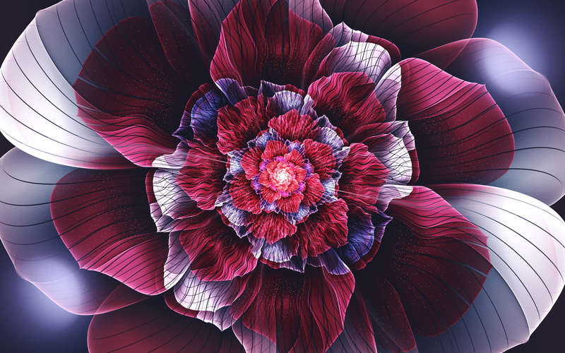 flowers, abstract, fractal flowers, 1080P, petals, fractal, symmetry, digital art