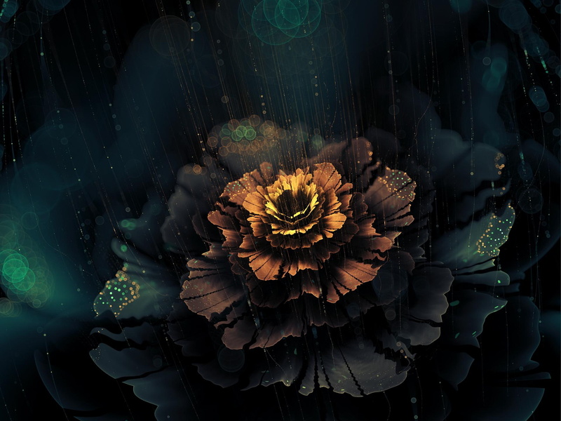 art, fractal, 1080P, fractal flowers, flowers, digital art, digital, abstract