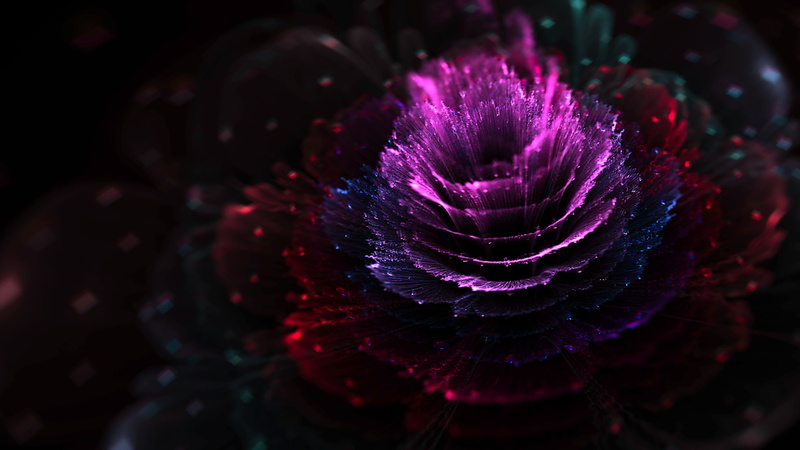 purple, beauty in nature, flower, freshness, plant, marine, cgi, undersea, Fractal, multi colored, sea life, sea, animal, Fractal Flowers, close-up, flowering plant