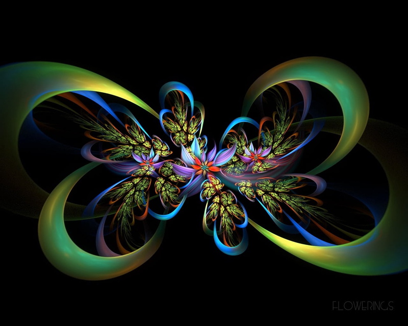 flower, art, vibrant Color, patterns, lines, vector, light painting, illuminated, long exposure, photographic Effects, digitally Generated Image, flowers