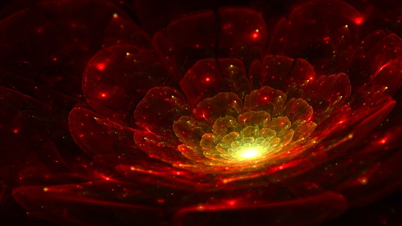 3D, lights, abstract, petals, 1080P, red, fractal flowers, digital art