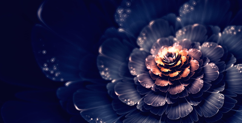 2K, fractal flowers, 3D fractal, fractal