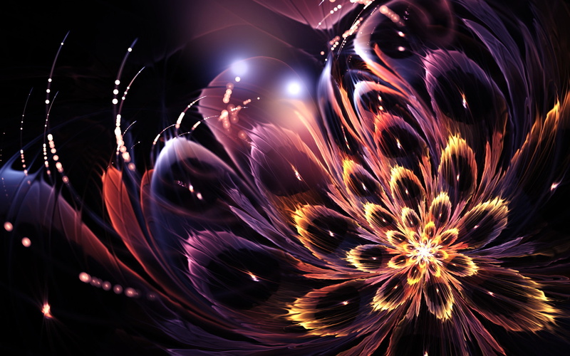 Artistic, 1080P, Fractal, Flowers, Flower, Digital Art