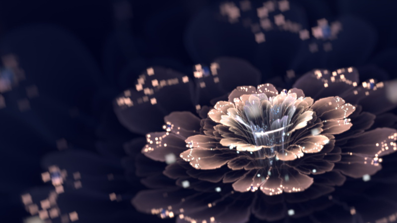 fractal, fractal flowers, 2K, CGI, digital art