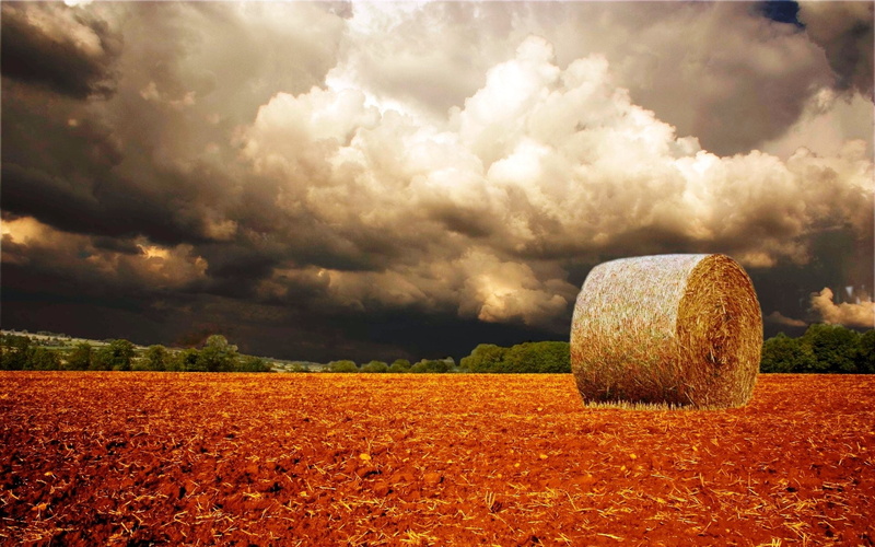 autumn, scenary, 1080P, interesting