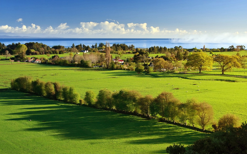 field, coast, landscape, farm, grass, 1080P, pasture, aerial view