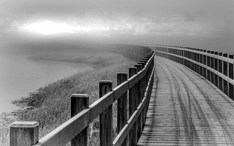 fence, transportation, long, water, no people, wood, footpath, monochrome, nature, outdoors, mist, black, landscape, shrubs, built structure, bridge, tranquility