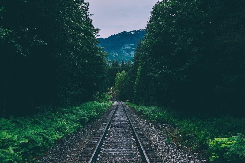 nature, vanishing point, long, scenics - nature, growth, tranquility, the way forward, diminishing perspective, tranquil scene, beauty in nature, transportation