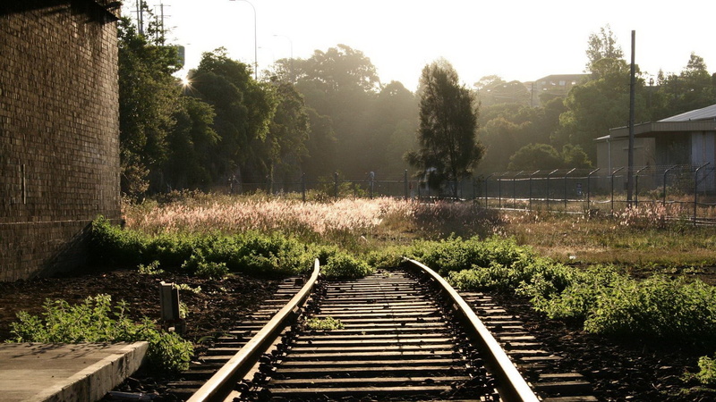 connection, plant, rail transportation, tree, railroad, outdoors, transportation, growth, sunlight, built structure, railroad track, beauty in nature, 1080P