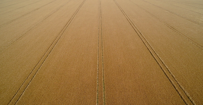 field, british countryside, pattern, tire track, wheat, parallel, nature, rural scene, land, the way forward, symmetry, aerial, untitled, high angle view