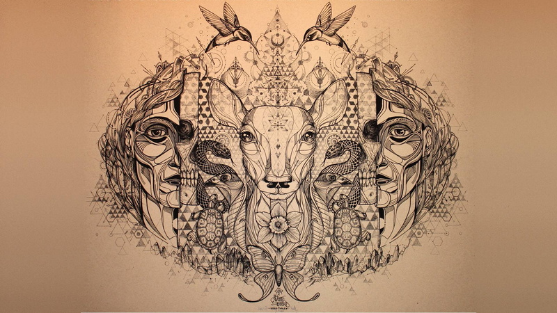 Deer, butterfly, 1080P, abstract, psychedelic, fantasy, snake, Hummingbird, art