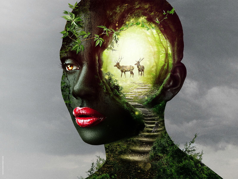 720P, digital/artwork, abstract, face, stairs, hd, deer