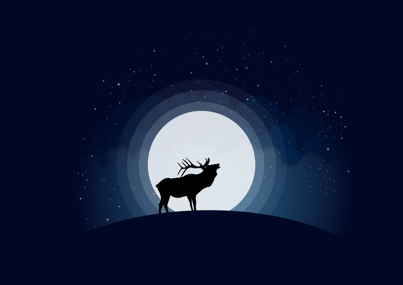 space, domestic animals, deer, silhouette, mammal, horned, tree, star - Space, landscape, no people, sky, night, animal, arch, vertebrate, full length