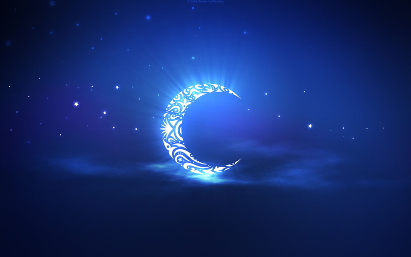 abstract, no people, creativity, Ramadan, animal themes, moon, white, illuminated, dark, deer, jellyfish, glowing, nature, night, water, animal wildlife
