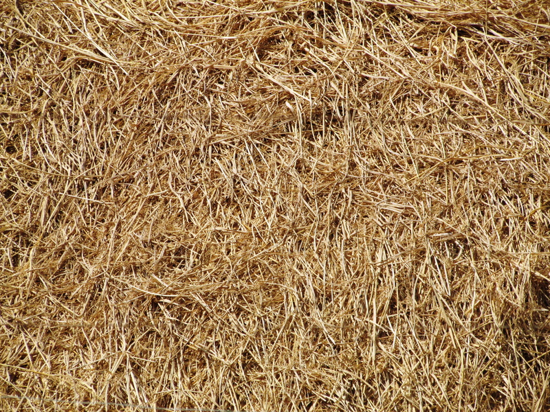 haystack, no people, full frame, Hay, 2K, brown, nature, agricultural, agriculture, high angle view, straw, dry, bale, backdrop, farming, outdoors, tranquility