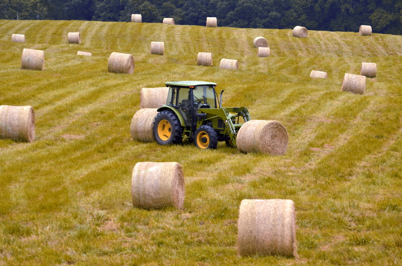 meadow, growth, crop, roll, agricultural equipment, feed, rolled up, farm, autumn, round, tractor, day, straw, fall, summer, food, agriculture, cut, bale