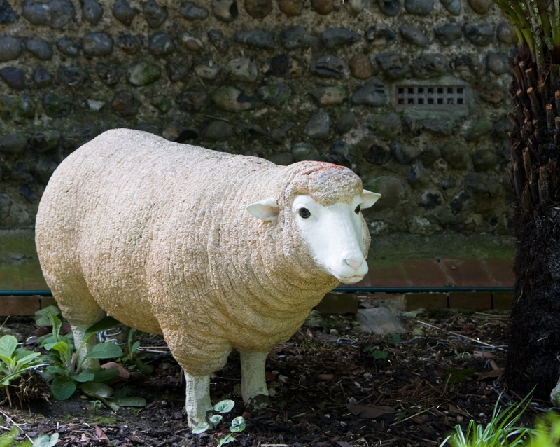 animal themes, domestic, cattle, no people, domestic animals, outdoors, pets, ornament, garden, nature, livestock tag, 1080P, large, focus on foreground