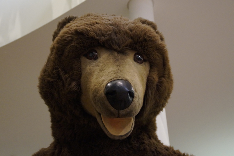 mammal, brown, domestic, purry, replica, animal nose, toys, fur, animal, indoors, head, animal body part, giengen at the hot, animal mouth, pets, fake