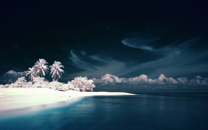 waterfront, idyllic, water, tranquil scene, land, palm trees, night, digital art, outdoors, sea, no people, beach, tree, 720P, plant, reflection, landscape