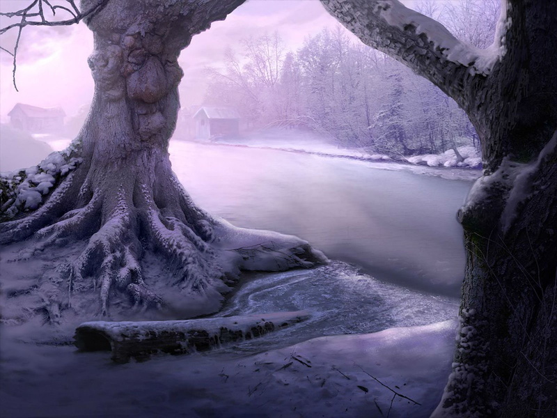 online, Puzzle, adventure, crime, land, scenics - nature, Dire, nature, non-urban scene, tranquility, Dark, cold temperature, Grove, beauty in nature, plant