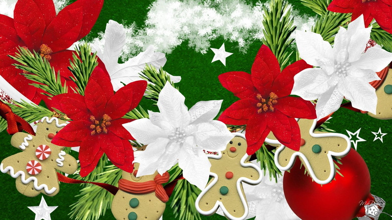 christmas, stars, 1080P, gingerbread, spruce, snow, cookies, flowers, ginge, snowflakes, feliz navidad, poinsettias